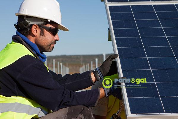 Empresa especializada en placas solares para granjas