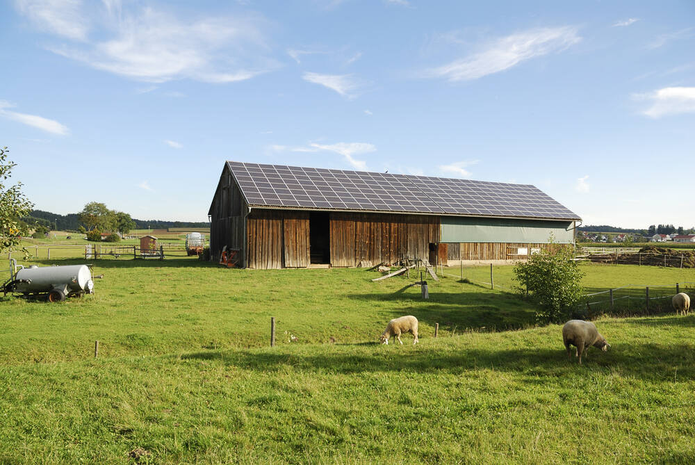 Pansogal, instalación de placas fotovoltaicas para granjas