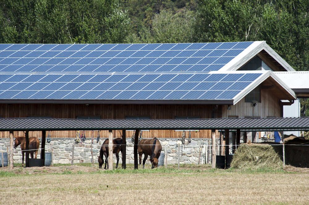 Ventajas de instalar placas fotovoltaicas en granjas